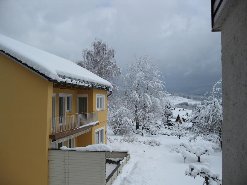 Studio ohne Balkon